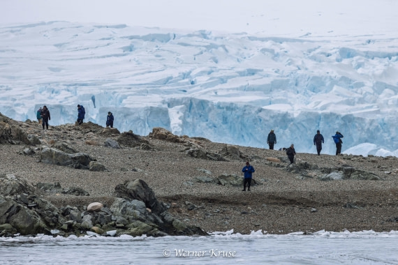 OTL30a26, Day 9, Millerand Island_WKR52339.jpg © Werner Kruse - Oceanwide Expeditions.jpg