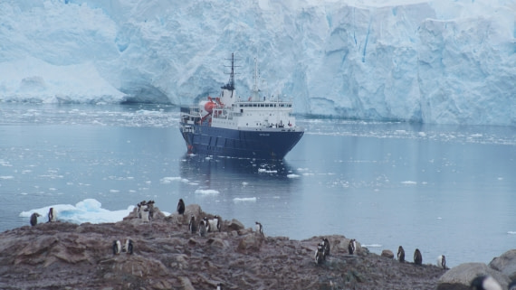OTL30a26, Day 12, DSC05669.JPG © Unknown Photographer - Oceanwide Expeditions.JPG