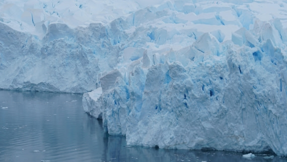 OTL30a26, Day 12, DSC05680.JPG © Unknown Photographer - Oceanwide Expeditions.JPG