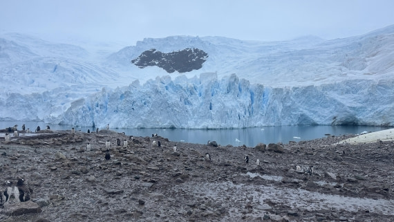 OTL30a26, Day 12, IMG_0440.JPG © Unknown Photographer - Oceanwide Expeditions.JPG