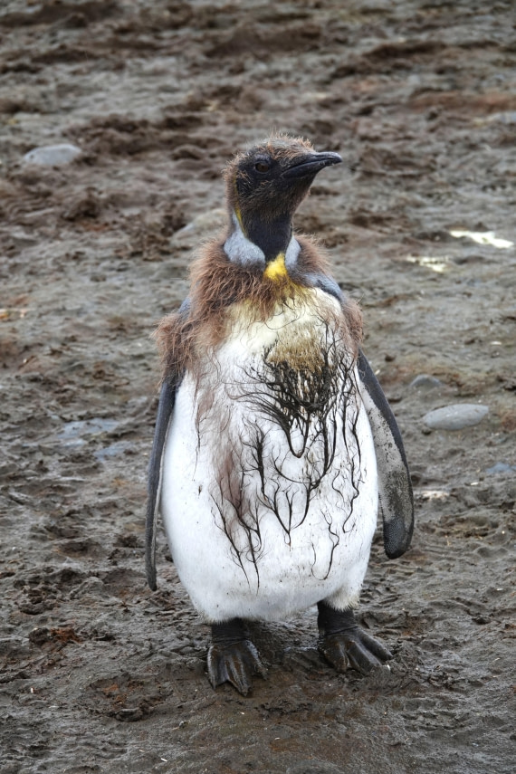 Where are the showers here?