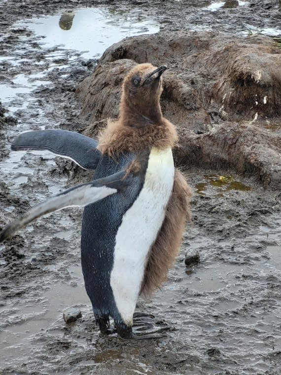 How do you like my new look?