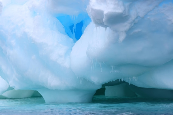 Under the Floe