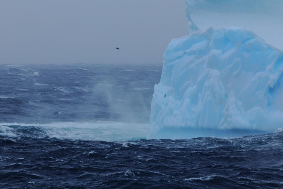 Off South Georgia
