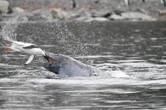 Breakfast at Leopard's