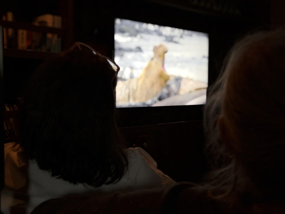 HDS29-26, Day 22, IMG_2456 © Unknown photographer - Oceanwide Expeditions.jpg