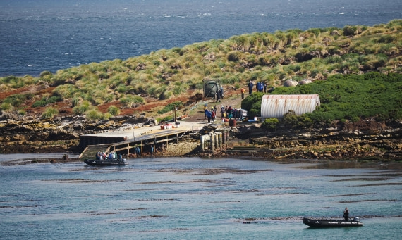HDS29-26, Day 3, 2025-02-18 Carcass Island1, Falklands © Unknown photographer - Oceanwide Expeditions.JPG