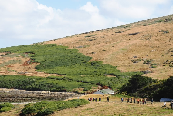 HDS29-26, Day 3, 2025-02-18 Carcass Island2, Falklands © Unknown photographer - Oceanwide Expeditions.JPG
