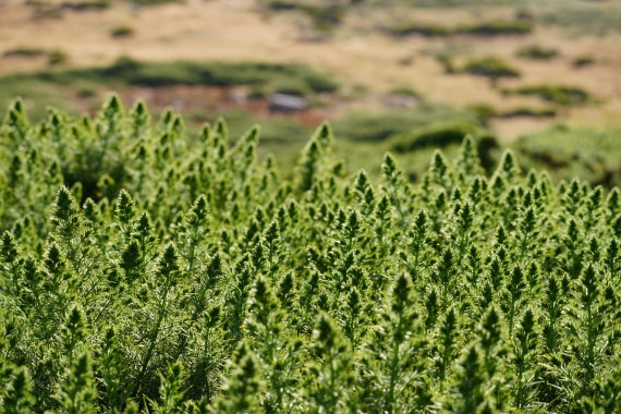 HDS29-26, Day 3, DSC05550 © Jessica Bakker - Oceanwide Expeditions.JPG
