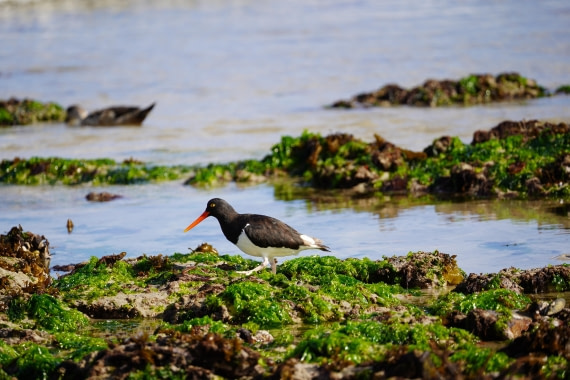 HDS29-26, Day 3, DSC05571 © Jessica Bakker - Oceanwide Expeditions.JPG