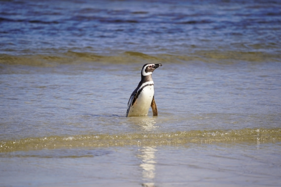 HDS29-26, Day 3, DSC05622 © Jessica Bakker - Oceanwide Expeditions.JPG