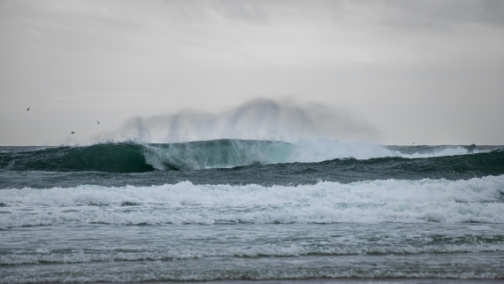 HDS29-26, Day 3, RLO_8875-Enhanced-NR © Alexander Romanovskiy - Oceanwide Expeditions.jpg