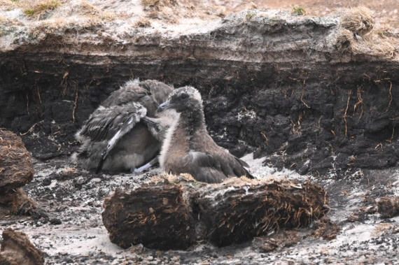 HDS29-26, Day 3, SAS_5457 © Saskia van der Meij - Oceanwide Expeditions.JPG