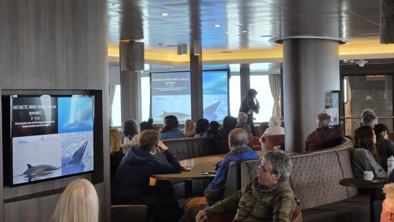 HDS29-26, Day 4, 20260219_163045 © Sid Dewfall - Oceanwide Expeditions.jpg