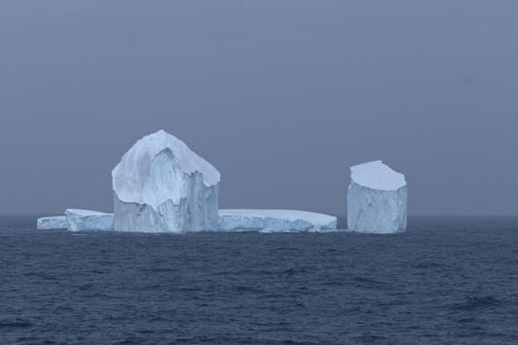 HDS29-26, Day 6, Picture3 © Unknown photographer - Oceanwide Expeditions.jpg