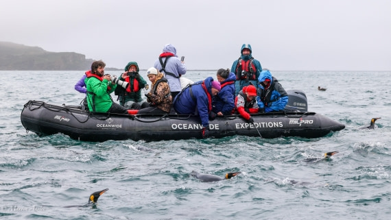 HDS29-26, Day 7, 0Q9A0439 © Martin Anstee - Oceanwide Expeditions.jpg