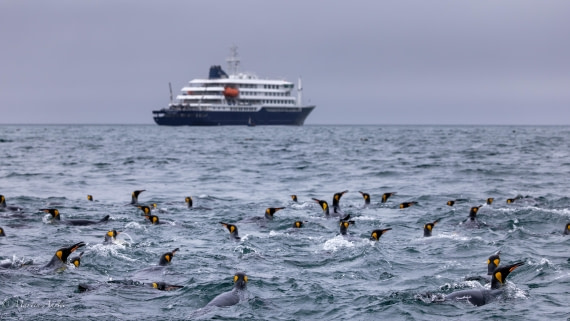 HDS29-26, Day 7, 0Q9A0534 © Martin Anstee - Oceanwide Expeditions.jpg