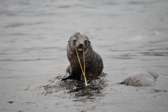 HDS29-26, Day 7, DSC06214 © Jessica Bakker - Oceanwide Expeditions.JPG