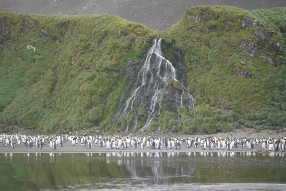 HDS29-26, Day 7, DSC06387 © Jessica Bakker - Oceanwide Expeditions.JPG