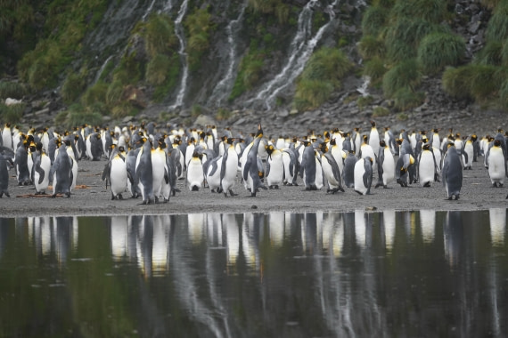 HDS29-26, Day 7, DSC06393 © Jessica Bakker - Oceanwide Expeditions.JPG