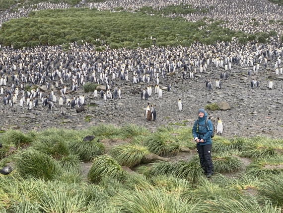 HDS29-26, Day 7, IMG_8982 © Unknown photographer - Oceanwide Expeditions.JPG