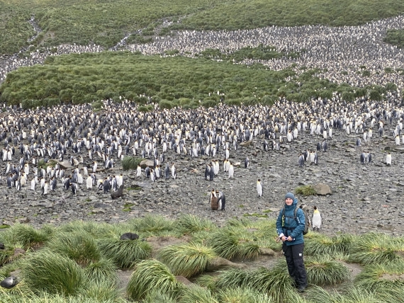 HDS29-26, Day 7, IMG_8983 © Unknown photographer - Oceanwide Expeditions.JPG