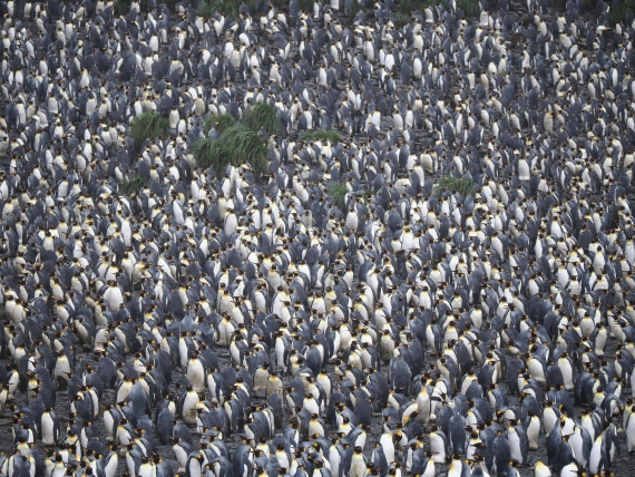 HDS29-26, Day 7, P2221334 © Unknown photographer - Oceanwide Expeditions.JPG