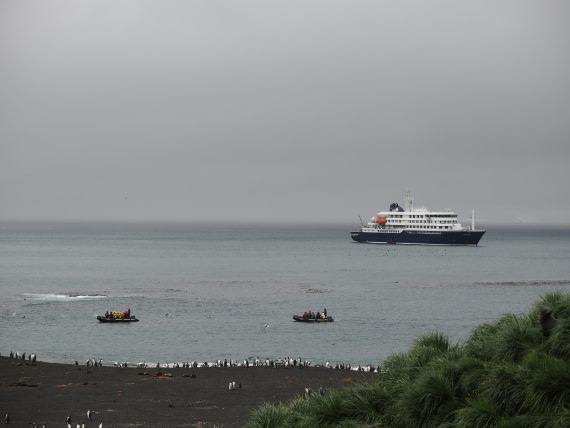 HDS29-26, Day 7, P2221352 © Unknown photographer - Oceanwide Expeditions.JPG