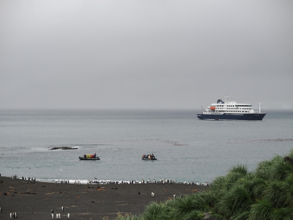 HDS29-26, Day 7, P2221354 © Unknown photographer - Oceanwide Expeditions.JPG