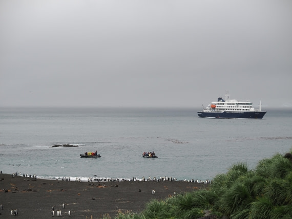 HDS29-26, Day 7, P2221355 © Unknown photographer - Oceanwide Expeditions.JPG