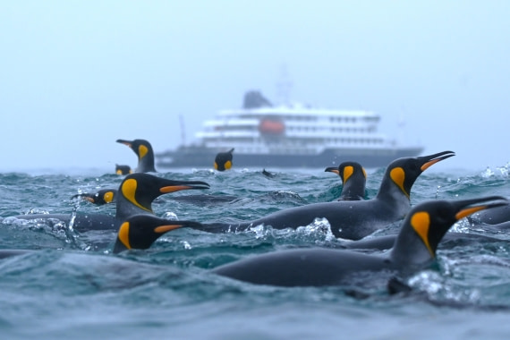 HDS29-26, Day 7, SAS_5889 © Saskia van der Meij - Oceanwide Expeditions.JPG