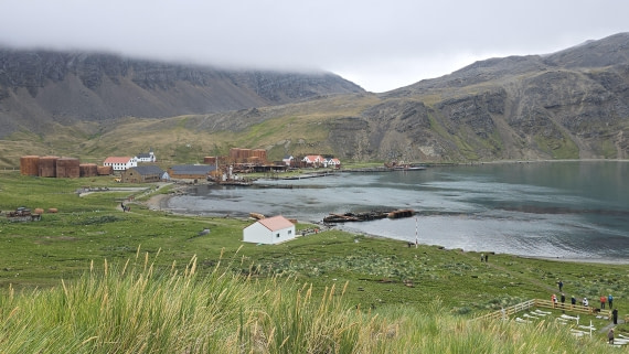 HDS29-26, Day 8, 20260223_163428 © Jodi Gaylord - Oceanwide Expeditions.jpg