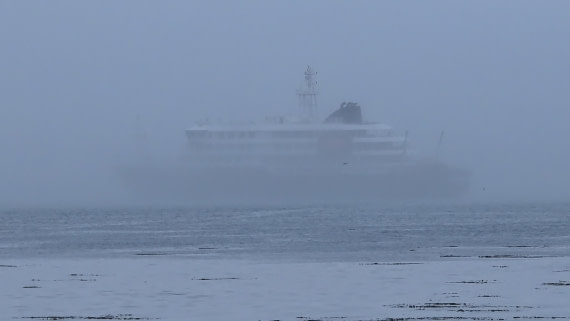 HDS29-26, Day 8, 20260223_175508 © Jodi Gaylord - Oceanwide Expeditions.jpg