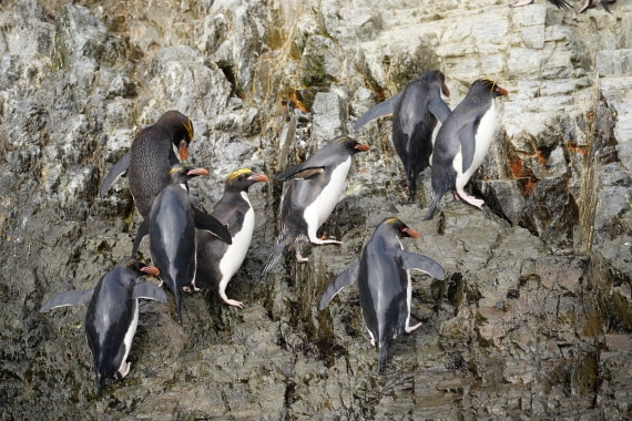 HDS29-26, Day 8, DSC06787 © Jessica Bakker - Oceanwide Expeditions.JPG