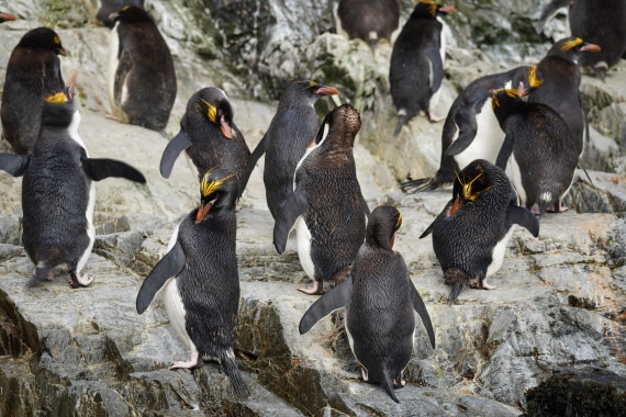 HDS29-26, Day 8, DSC06788 © Jessica Bakker - Oceanwide Expeditions.JPG