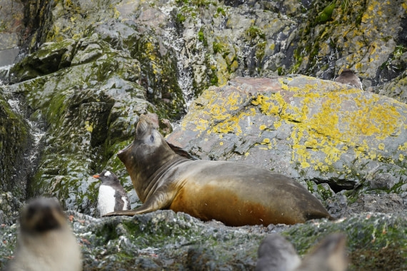 HDS29-26, Day 8, DSC06918 © Jessica Bakker - Oceanwide Expeditions.JPG