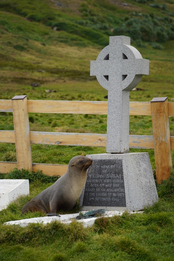 HDS29-26, Day 8, DSC07162 © Jessica Bakker - Oceanwide Expeditions.JPG