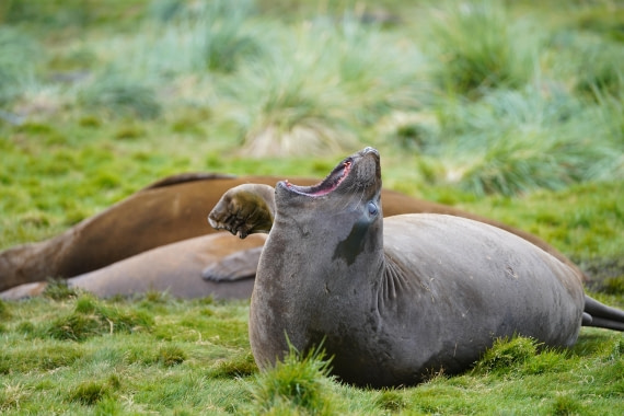 HDS29-26, Day 8, DSC07169 © Jessica Bakker - Oceanwide Expeditions.JPG