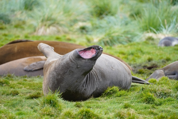 HDS29-26, Day 8, DSC07170 © Jessica Bakker - Oceanwide Expeditions.JPG