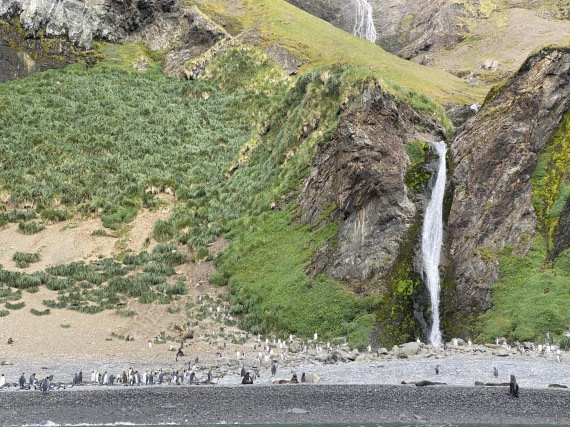 HDS29-26, Day 8, IMG_9043 © Unknown photographer - Oceanwide Expeditions.jpg