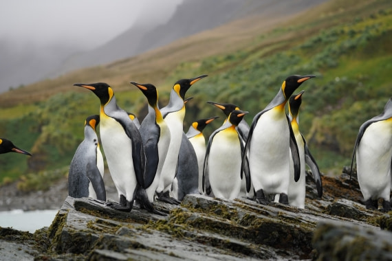 HDS29-26, Day 9, DSC07362 © Jessica Bakker - Oceanwide Expeditions.JPG