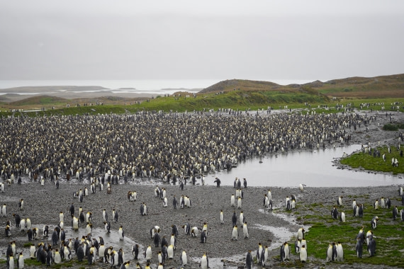 HDS29-26, Day 9, DSC07439 © Jessica Bakker - Oceanwide Expeditions.JPG