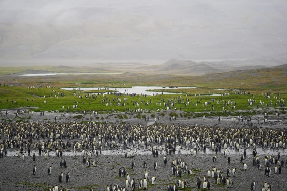 HDS29-26, Day 9, DSC07451 © Jessica Bakker - Oceanwide Expeditions.JPG