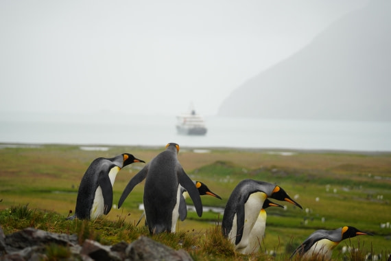 HDS29-26, Day 9, DSC07458 © Jessica Bakker - Oceanwide Expeditions.JPG
