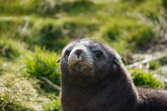 HDS29-26, Day 9, DSC07573 © Jessica Bakker - Oceanwide Expeditions.JPG
