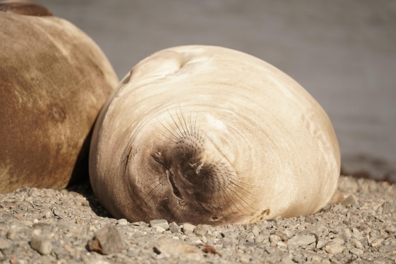 HDS29-26, Day 9, DSC07624 © Jessica Bakker - Oceanwide Expeditions.JPG