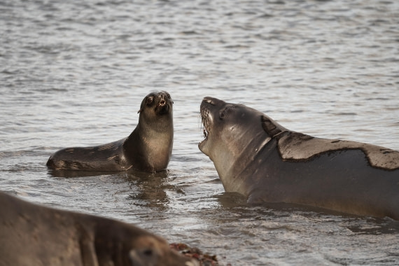 HDS29-26, Day 9, DSC07632 © Jessica Bakker - Oceanwide Expeditions.JPG