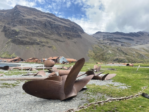 HDS29-26, Day 9, IMG_9071 © Unknown photographer - Oceanwide Expeditions.JPG