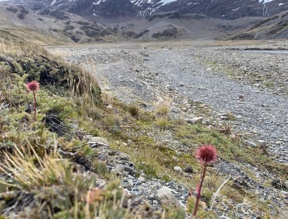 HDS29-26, Day 9, IMG_9085 © Unknown photographer - Oceanwide Expeditions.jpg