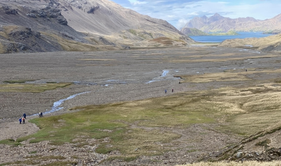 HDS29-26, Day 9, IMG_9087 © Unknown photographer - Oceanwide Expeditions.jpg